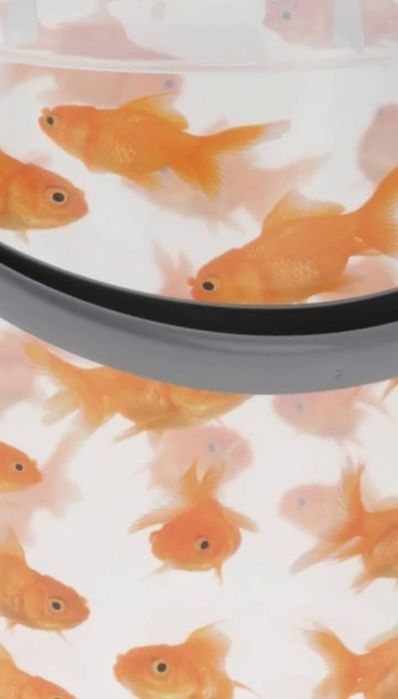 Ведро пластиковое "рыбки" (Нидерланды)