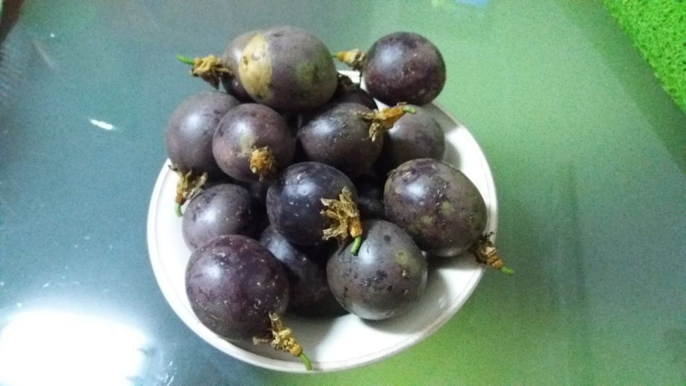 Árvores de Maracujá e Fruto