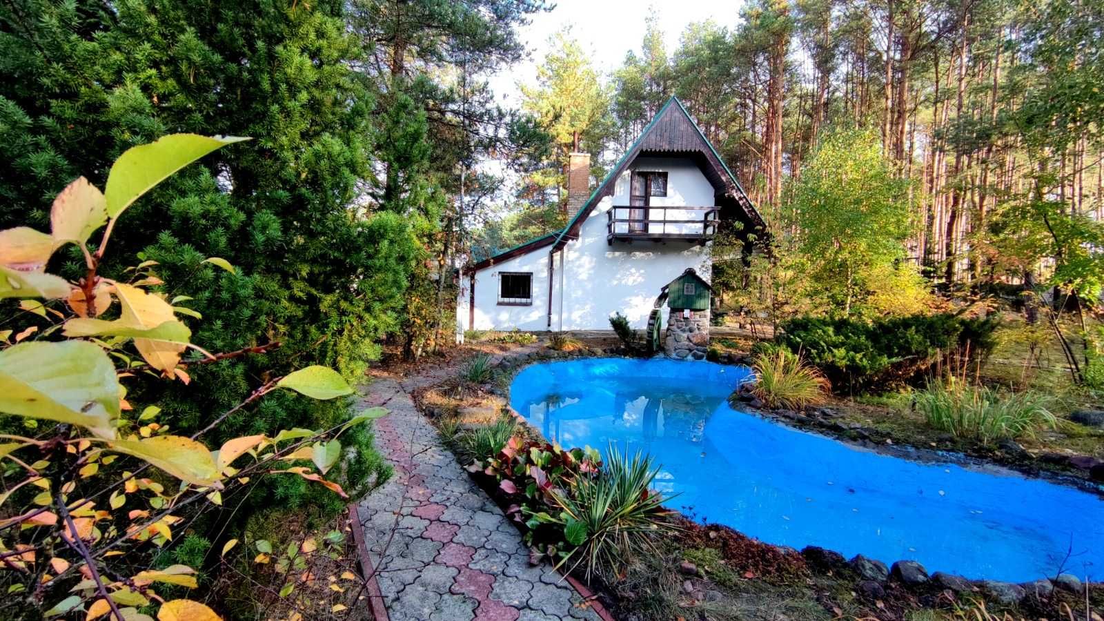 Bajeczna „Leśnych chata” z prywatnym lasem - 6- osobowy domek