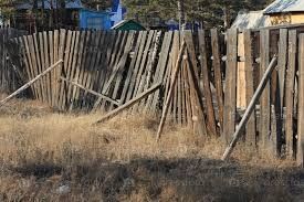 Щукаю диляну в броварах