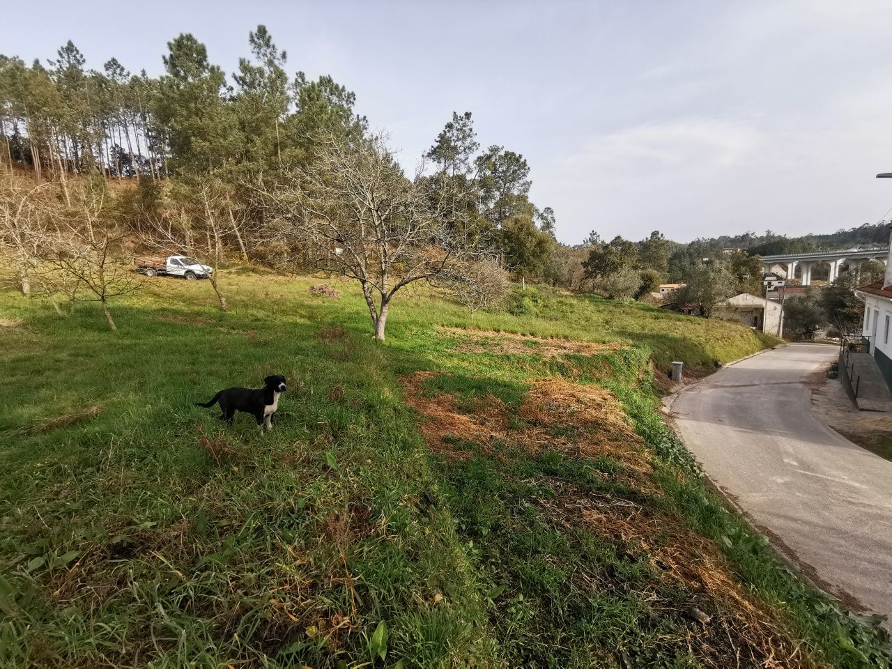 Terreno para construção