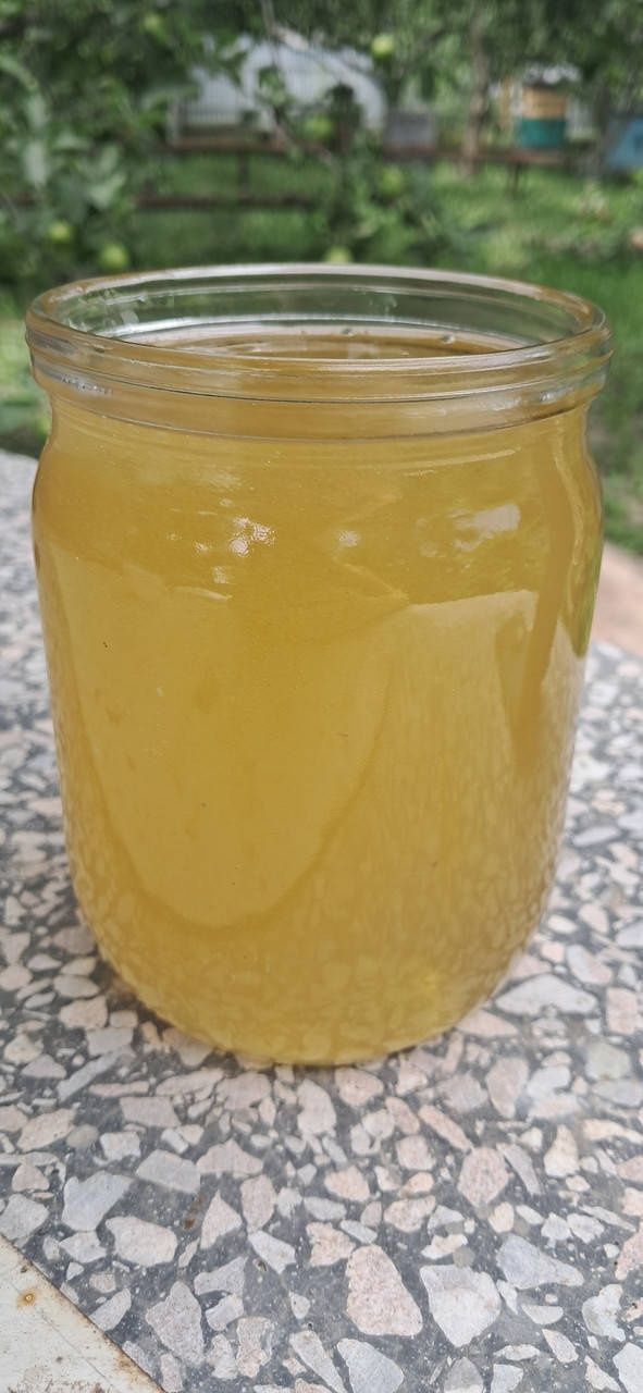 Продам Мед соняшник