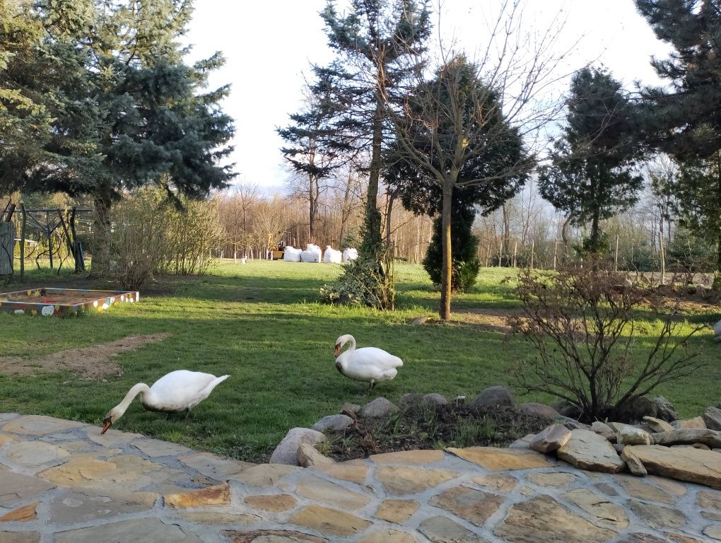 Pokoje gościnne, AGROTURYSTYKA, ośrodek wypoczynkowy