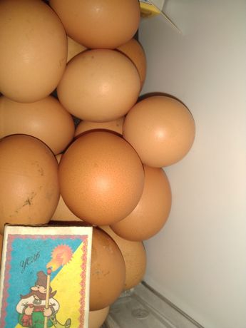Домашние яйца,своих курочек