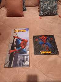 Quadros do Spider-Man 2unids