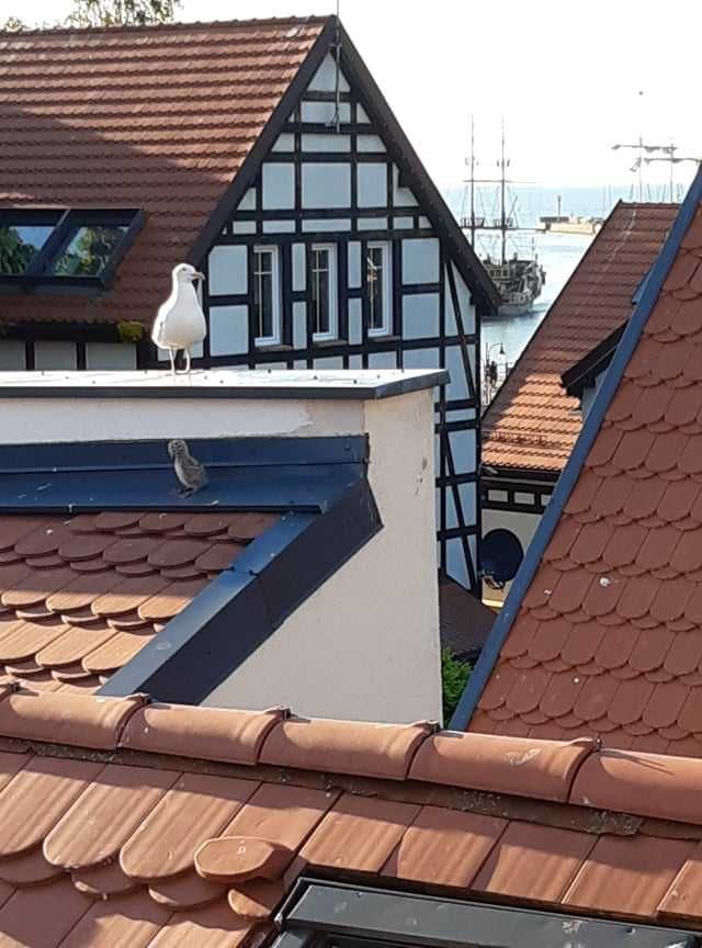 Apartament dla 4-5 osób z widokiem na morze!