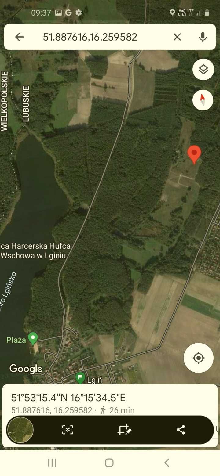 Dzialki  pod kemping nad jeziorem Lgiń województwo Lubuskie