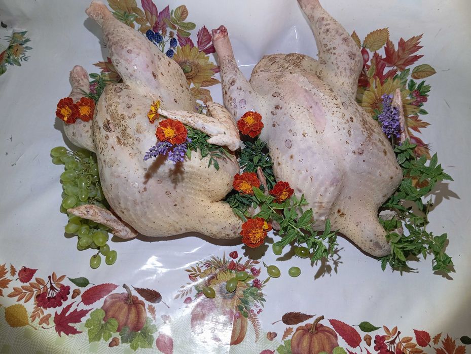 Продам. Тушки індика, індокачок ціна договірна.