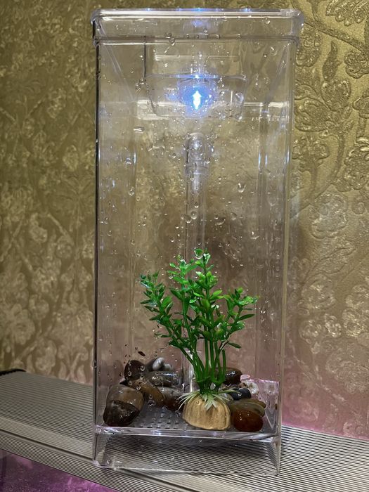 Аквариум пластиковый на 2 л