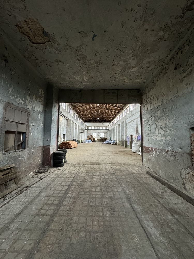 Нерухомість  1400 м2 під
