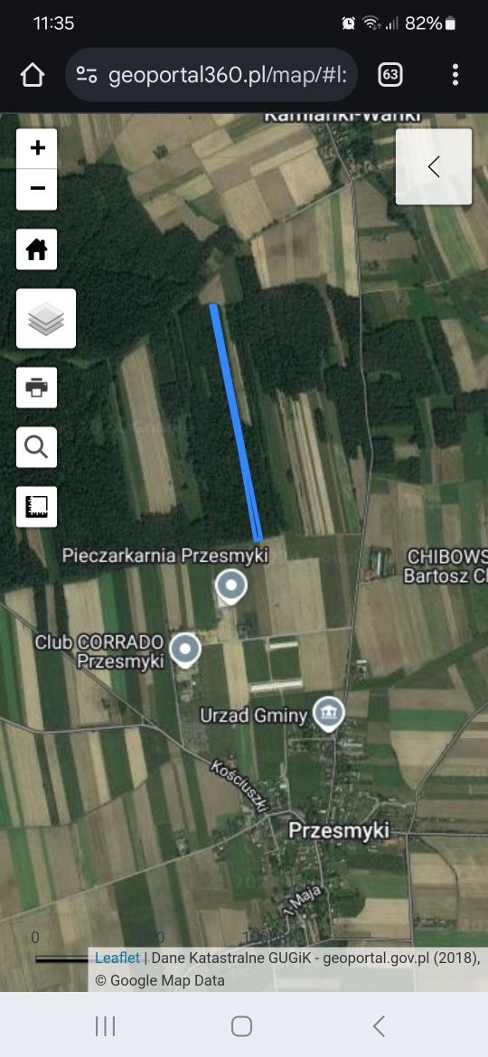 Sprzedam ponad 100 letni las /mazowieckie/