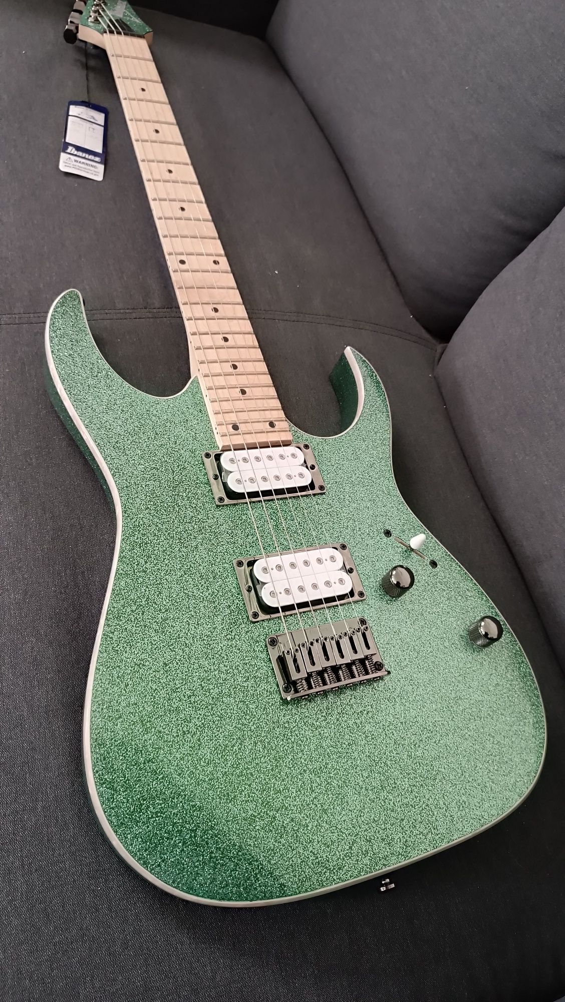 Guitarra Ibanez RG421msp tsp