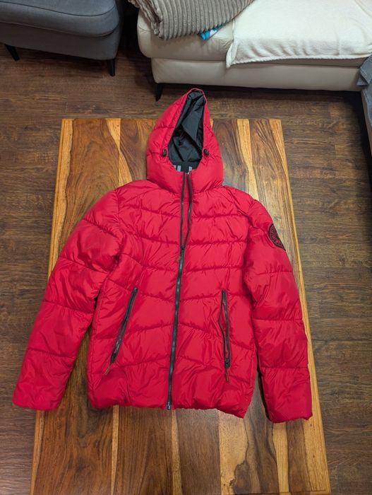 Kurka  PITBULL - rozmiar M