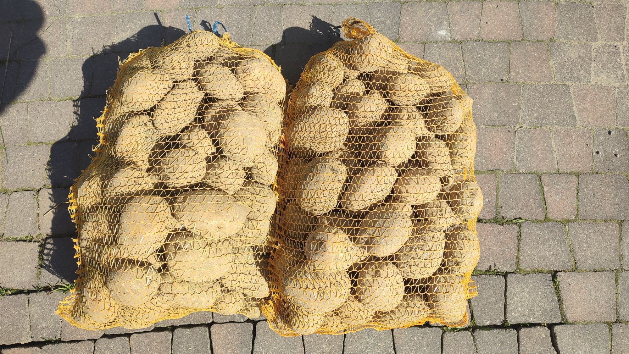 ziemniaki różny kalibraż większe ilości