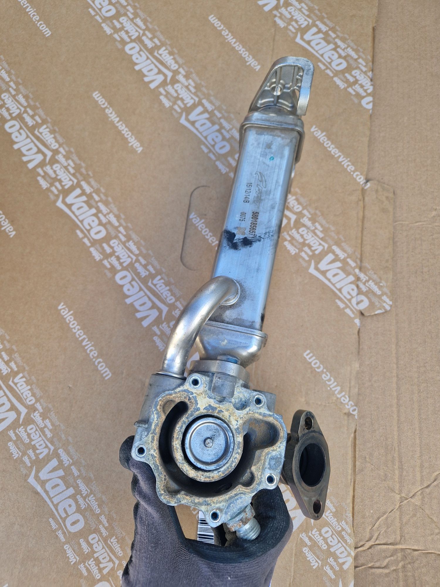 Chłodniczka Egr Ducato, Iveco