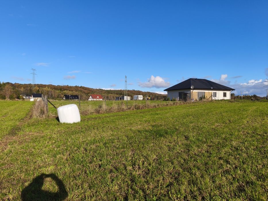 Działka budowlana Rybno 1000 m²