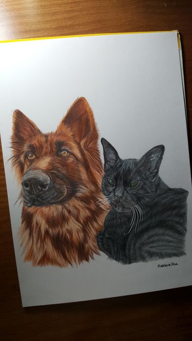 Retratos de animais