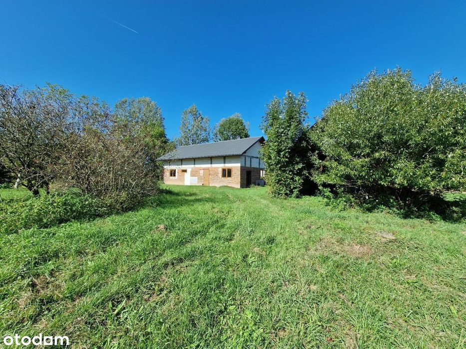 Dom blisko natury działka 23 ary