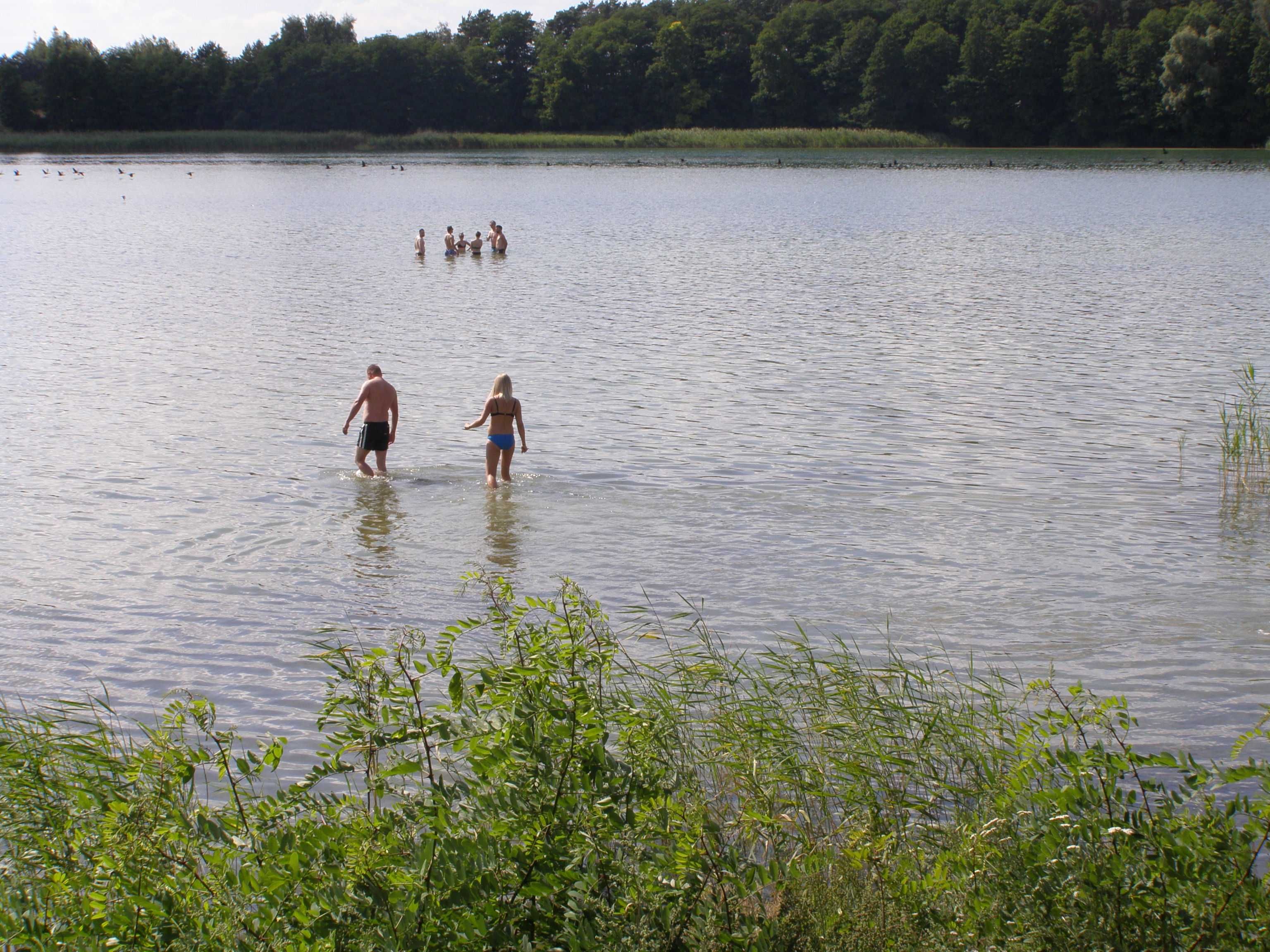 Domek wypoczynkowy nad jeziorem (ok. 300m od plaży)