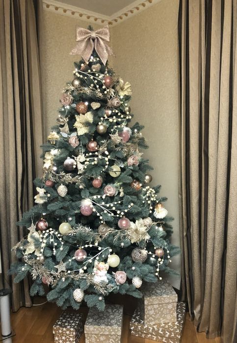 Ялинка блакитна лита