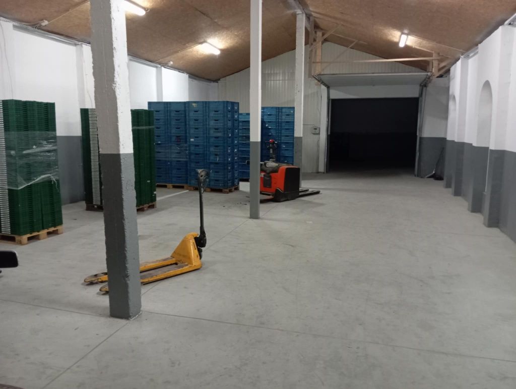 Magazyn z chłodnią + 2 stanowiska ramp