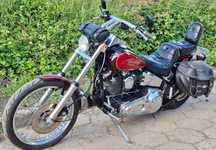 Harley-Davidson Softail Evo Harley Davidson Softail FXSTC