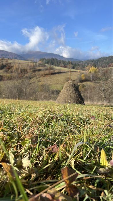 Котедж у горах для відпочинку — тиша, гори, релакс