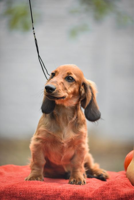 Гарненький хлопчисько з документами