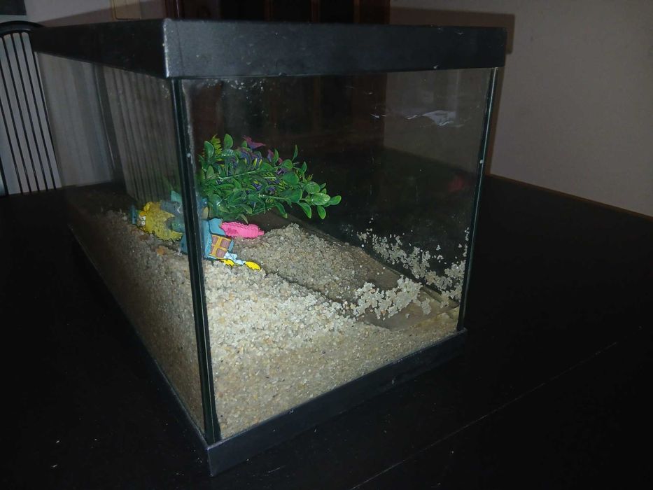 Aquário com móvel e acessórios