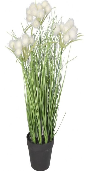 Trawa w doniczce 45 cm
