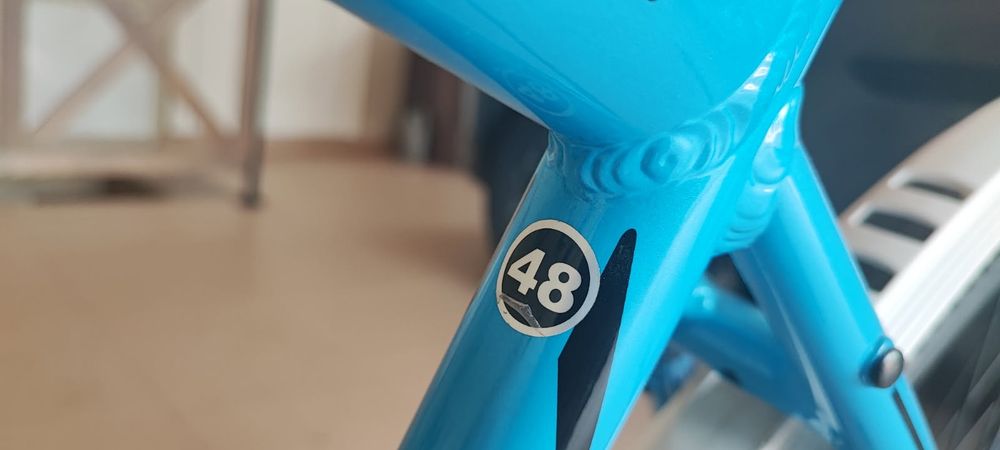 Rower trekking-cross Hercules Icona Pro męski 48