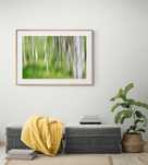 Obraz w Ramie Plakat Abstrakcja Natura Las Brzoza Wiosna 40x30 cm