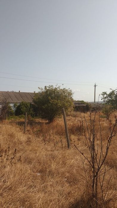 Продамо ділянку 25 соток + сарай