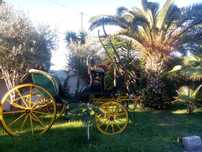 charrete milord de 4 rodas