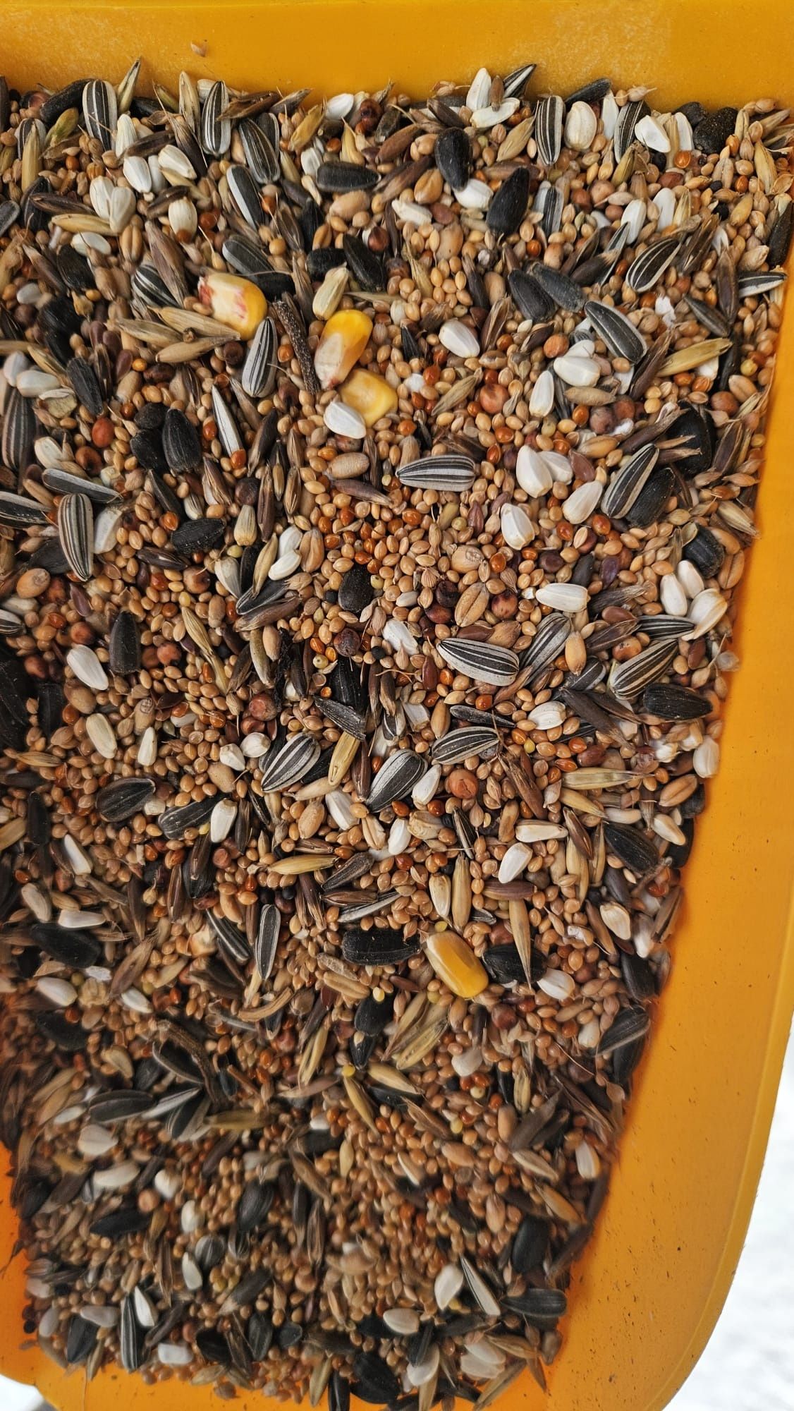 Pokarm do papug, Karma, 25kg PM
