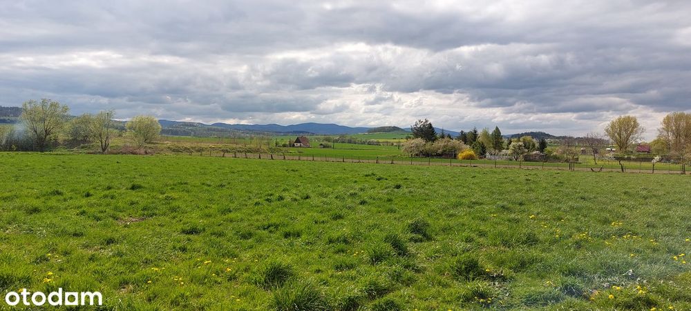 Działki budowlane ok 9,5ar