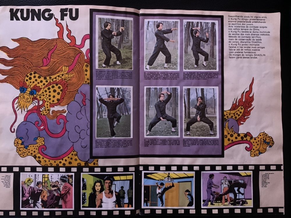 Caderneta Cromos Artes Marciais Bruce Lee Panini Matutano Coleção