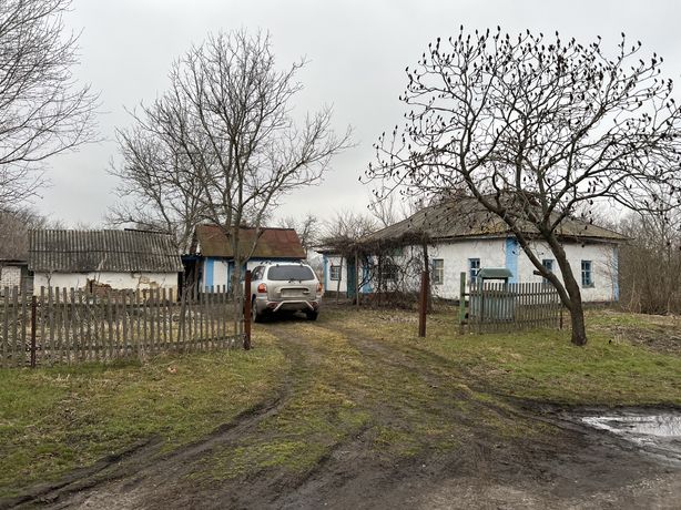 Продаж будинку в селі Пузикове