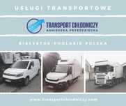 Transport chłodniczy dystrybucja Bus Solo Mała chłodnia Białystok