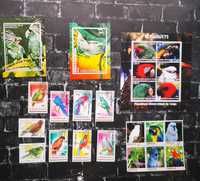 Znaczki pocztowe z motywem papuga