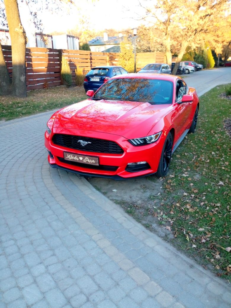 Wynajem bus 9 osób ślub wesele impreza + Mustang na szczególne okazje