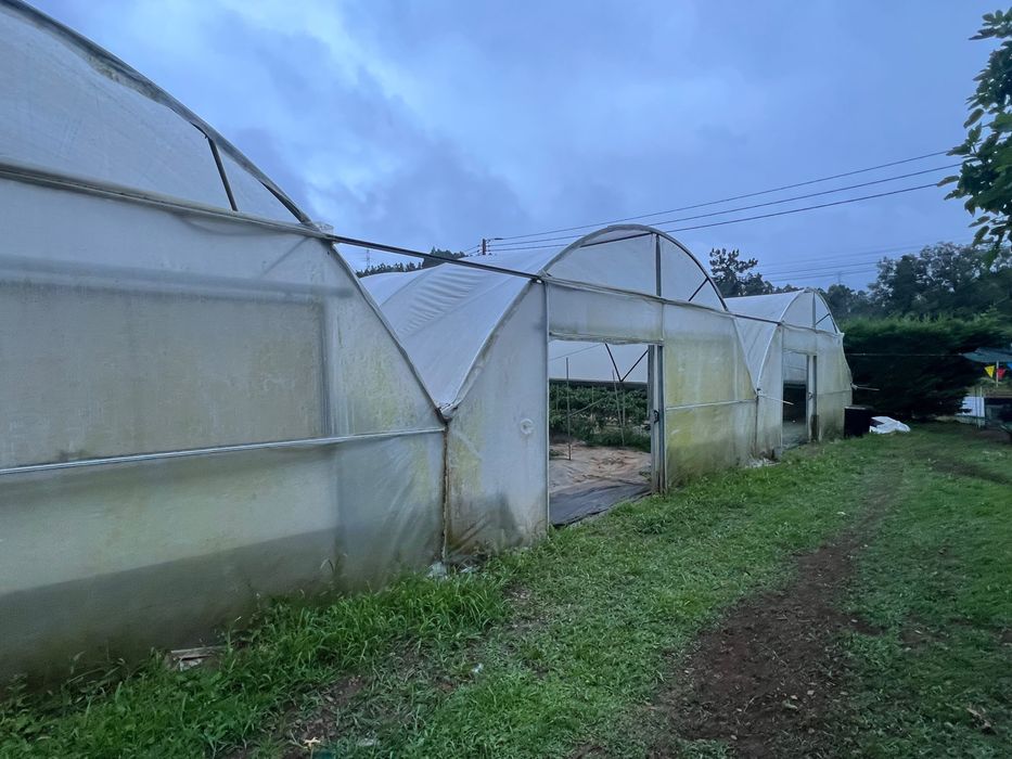 Estufas agrícolas