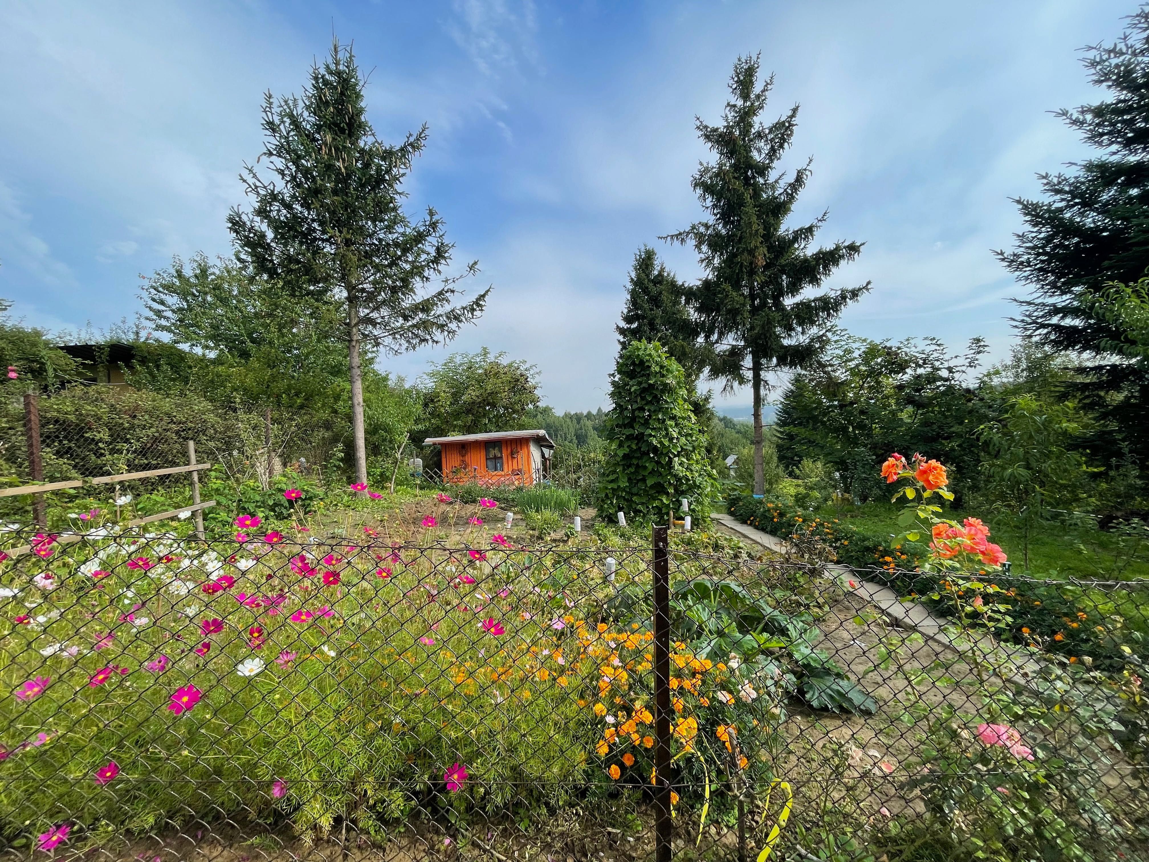 Działka rekreacyjna ROD Trinitatis Bochnia, 306 m2
