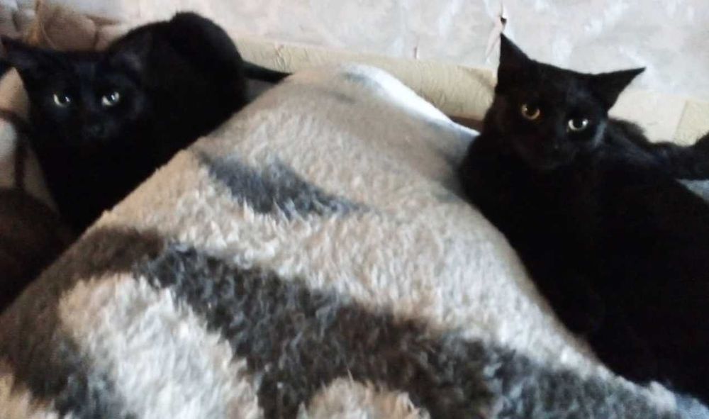 Burza z Piorunem – rodzeństwo z parkingu