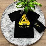 БЕЗ ПЕРЕДПЛАТ - Arcteryx PALACE - Футболка Артерикс - ХС С М Л ХЛ