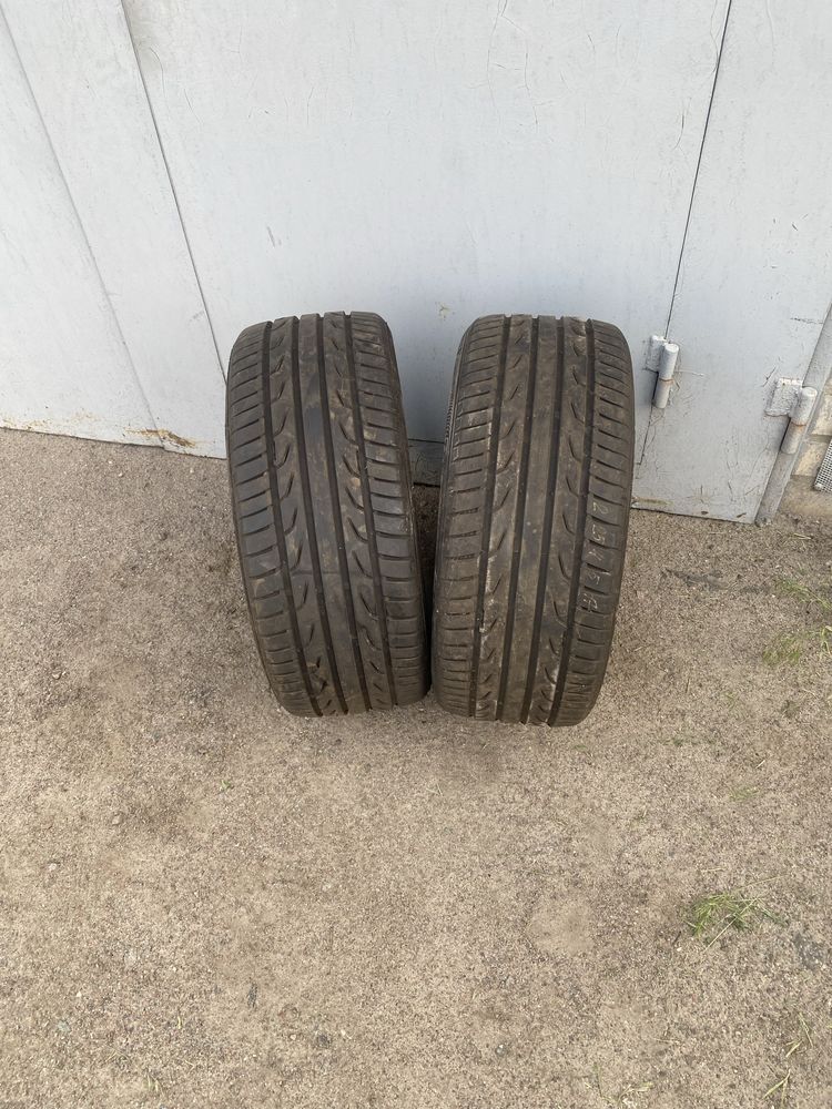 225 45 R17 продам  пару летних шин semperit