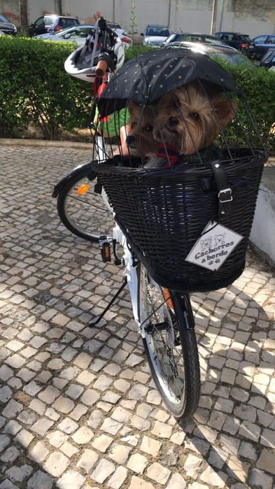 Cesto para bicicleta