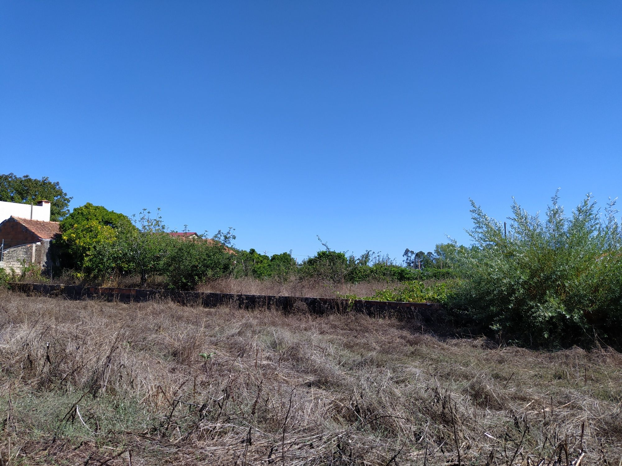 Terreno Cantanhede Cordinhã