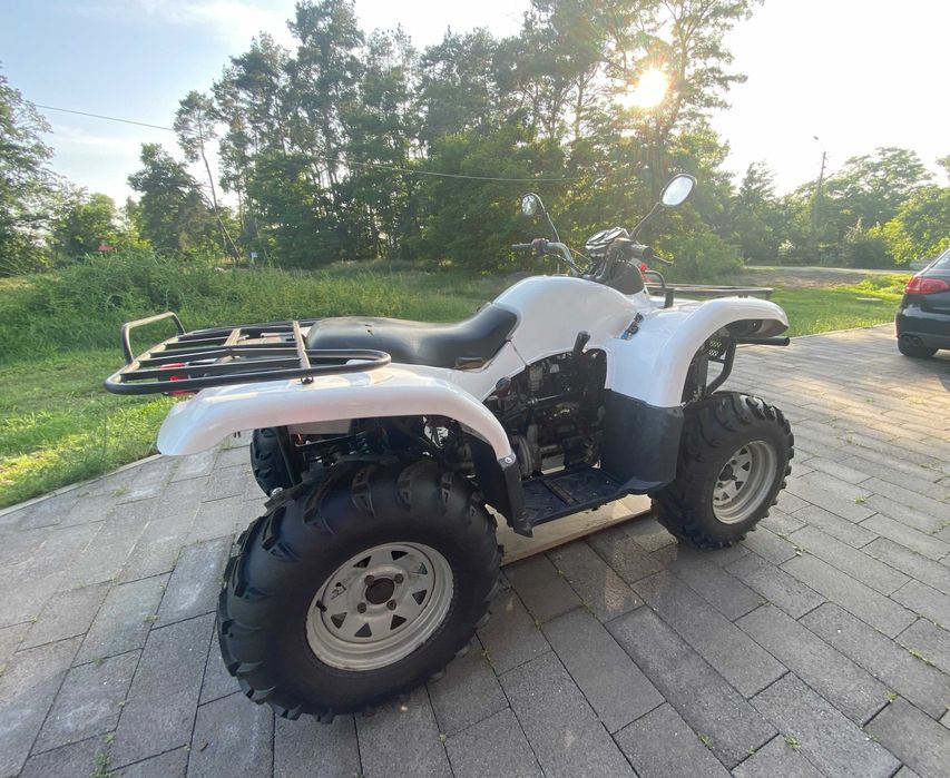 Nordic Campell 650