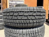 215/65 r16 Technic Winter Master 3P Резина зимняя